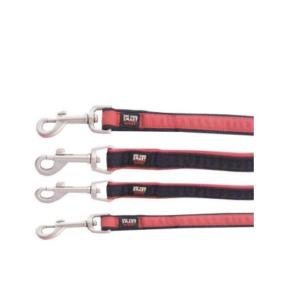 Dog Gone Smart Dog Lease Red with Navy Oiping 1 and 4 ft Long